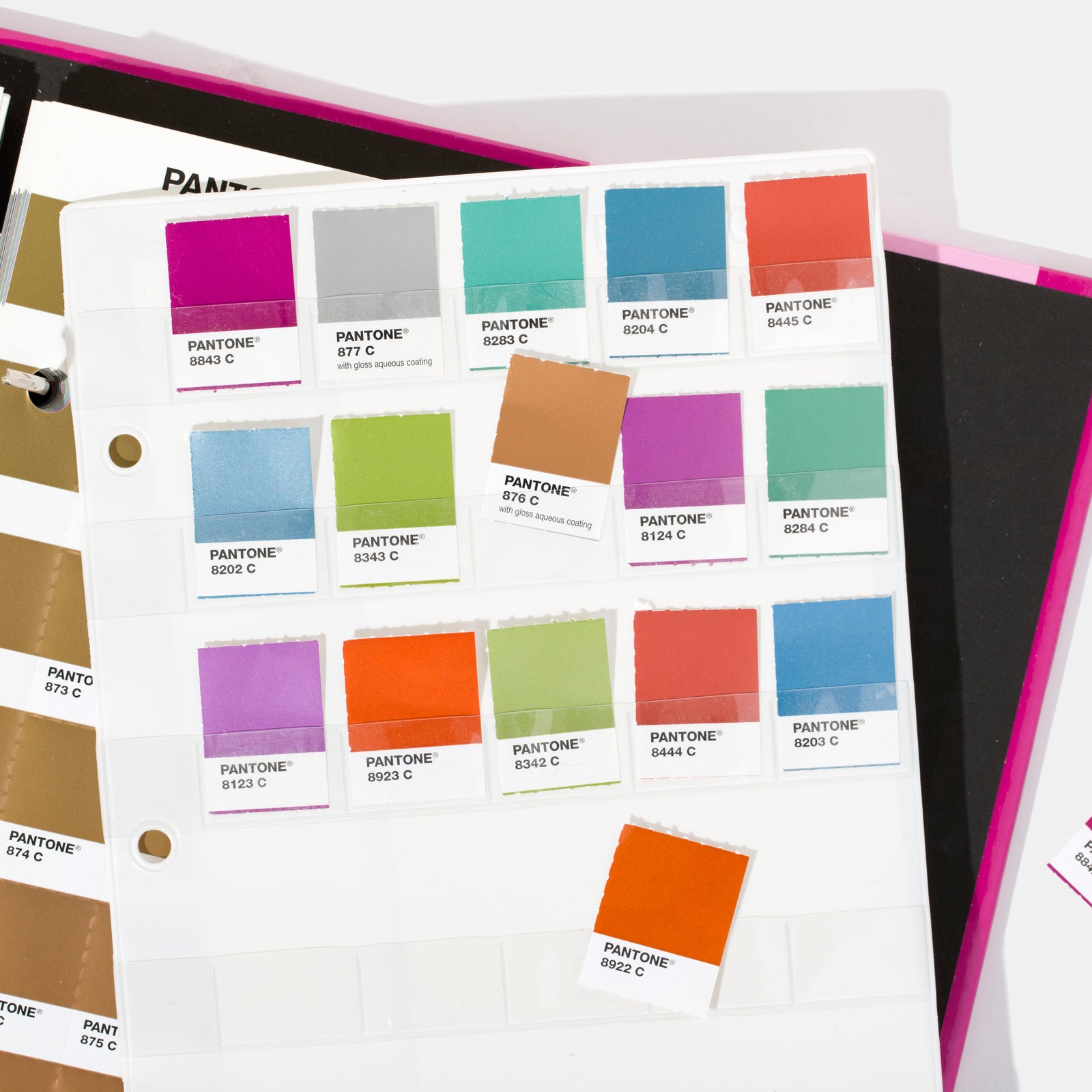 Chip Slip (10 pack) – Standards Manual