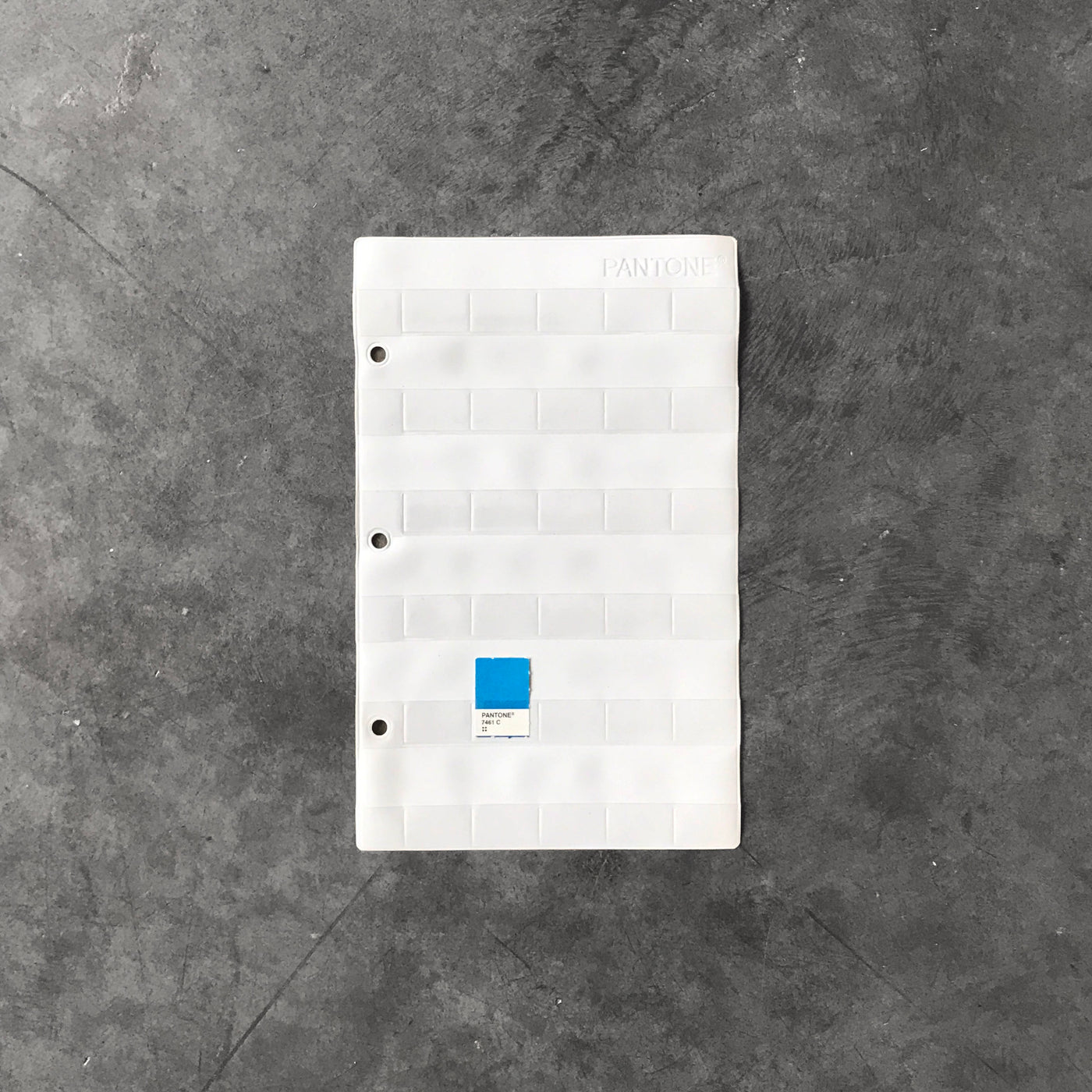 Chip Slip (10 pack) Standards Manual