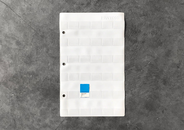 Chip Slip (10 pack)