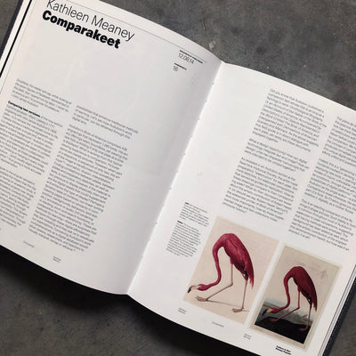 Culture is Not Always Popular: Fifteen Years of Design Observer