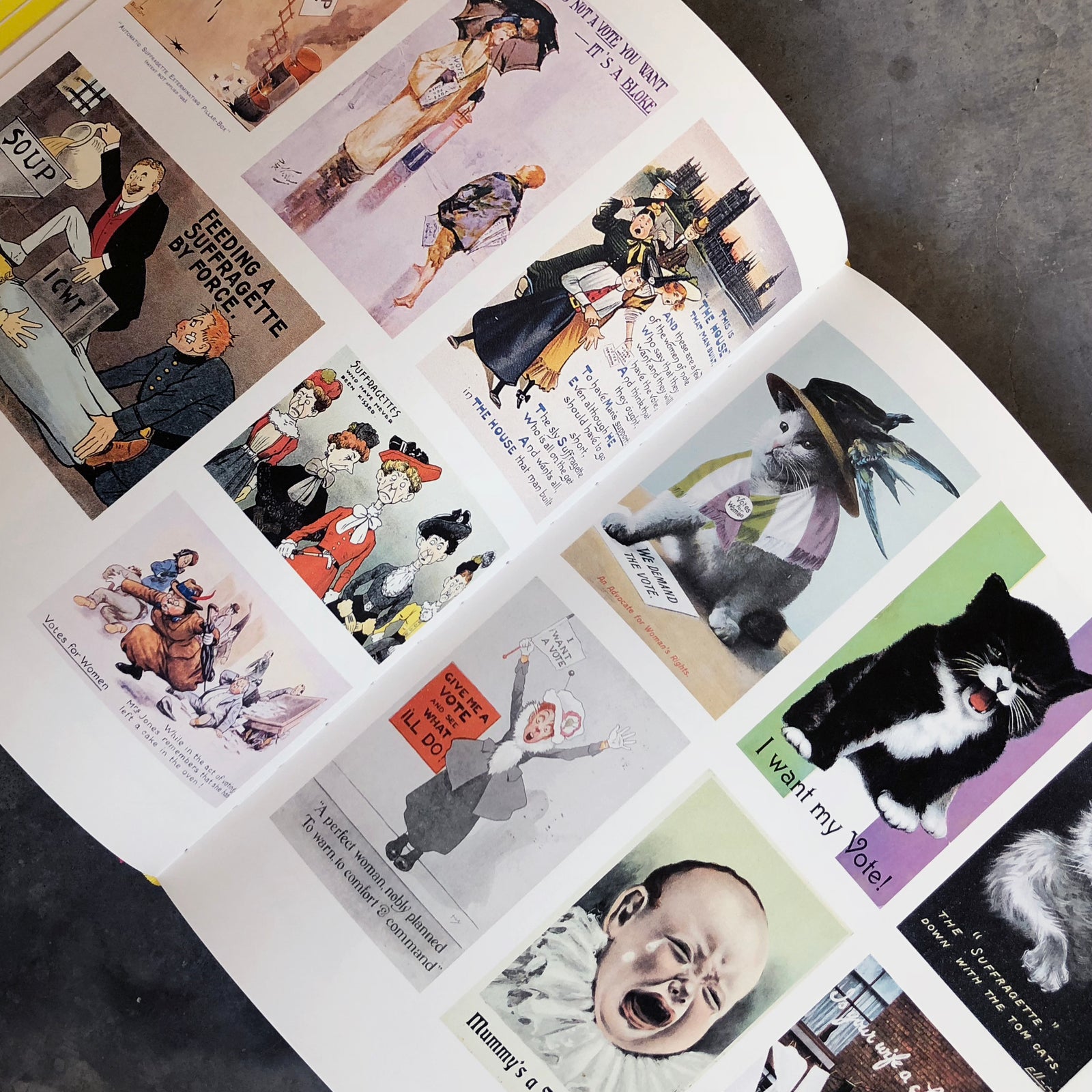 Suffragettes to She Devils: Women's Liberation and Beyond